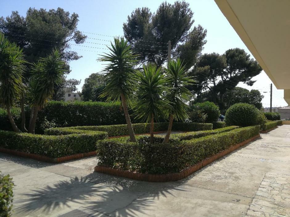 Appartement 2 Pieces Avec Balcon Τουλόν Εξωτερικό φωτογραφία